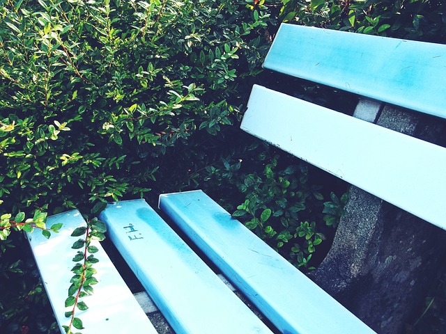 的声明只是 的声明只是