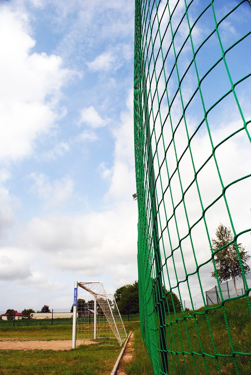 果敢的调整 果敢的调整