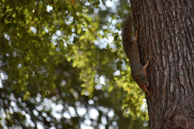 16次总冠 16次总冠