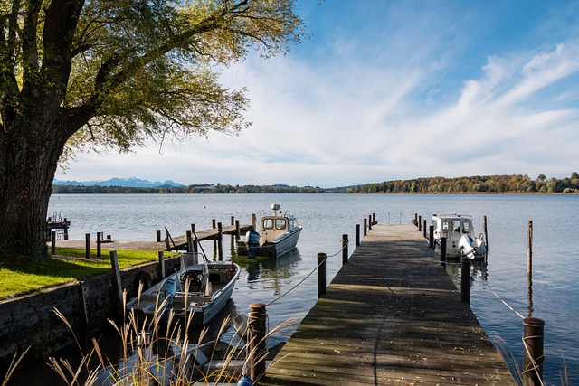 的一个现象 的一个现象